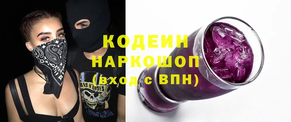 первитин Няндома