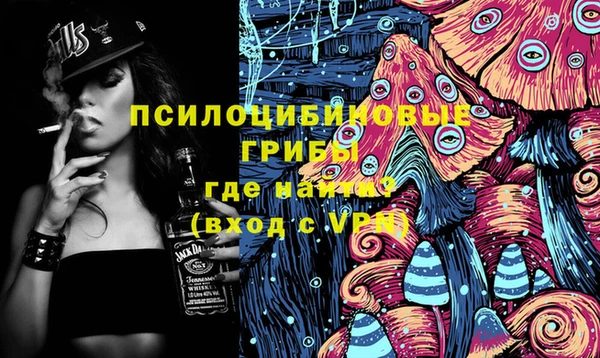 первитин Няндома